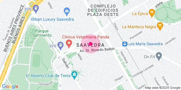 saavedra