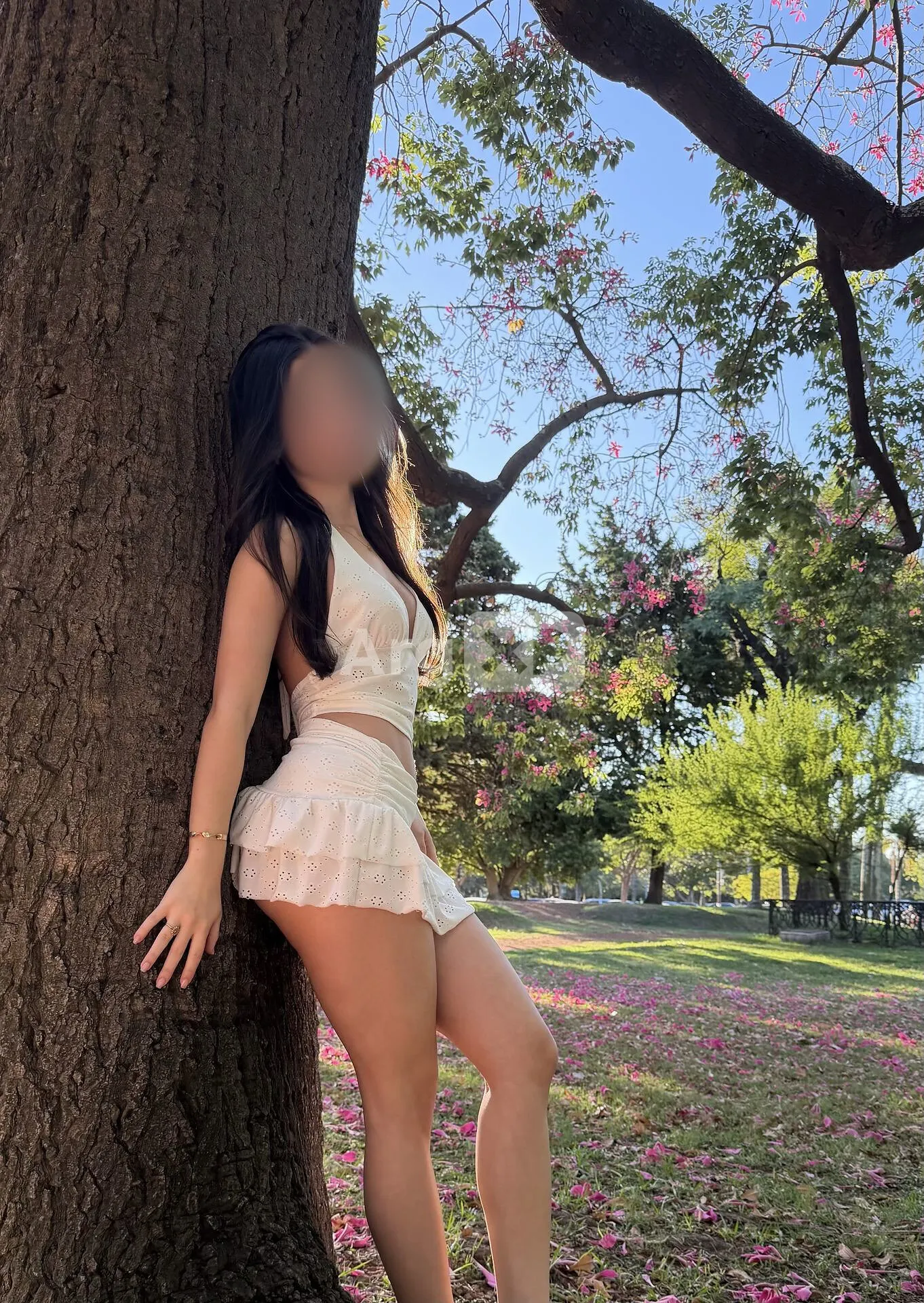 Maya