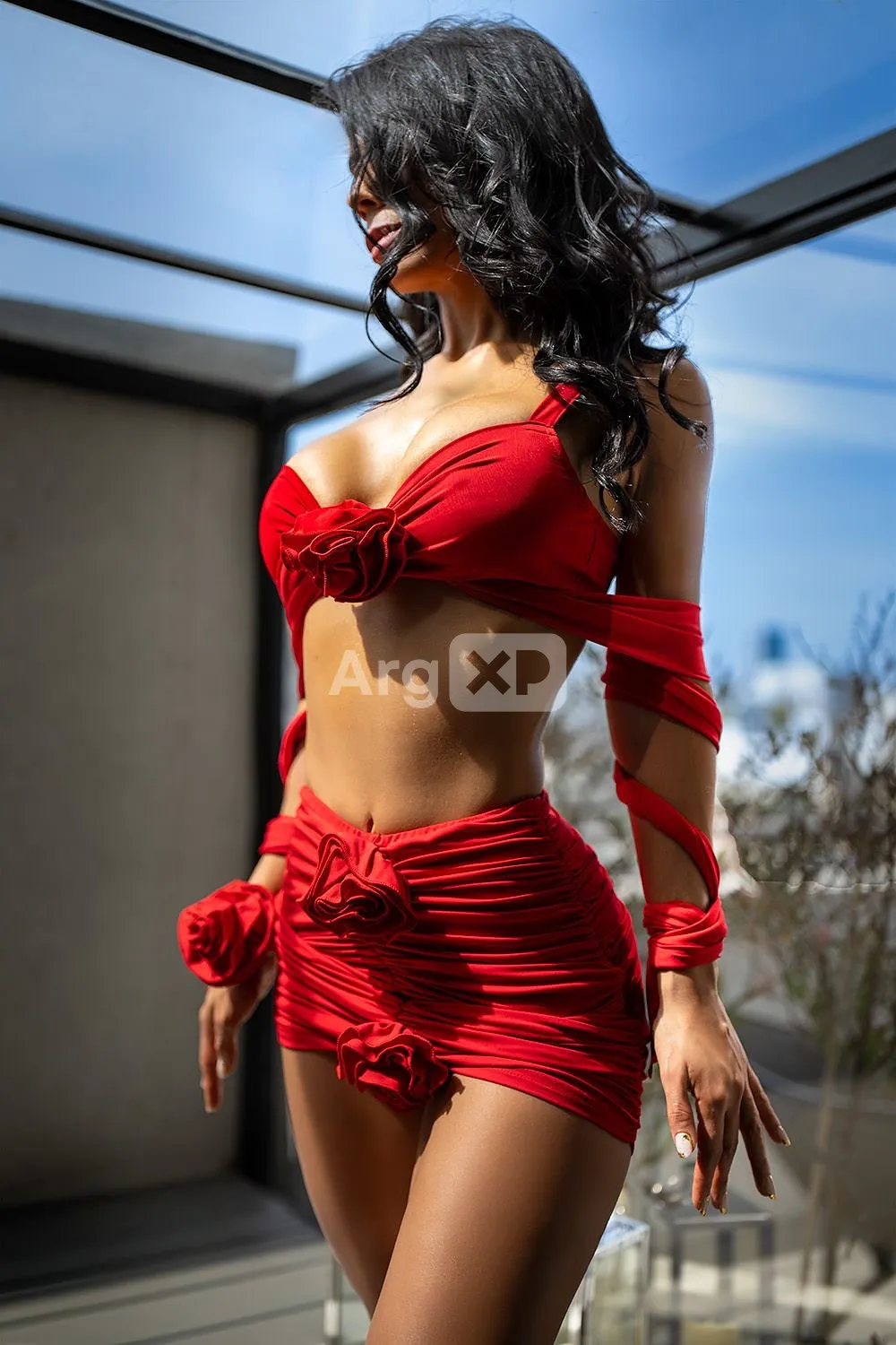 Ariel